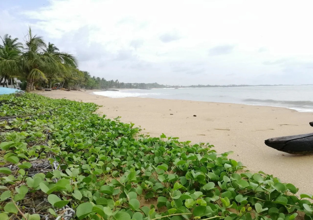 Mars Hotel Tangalle