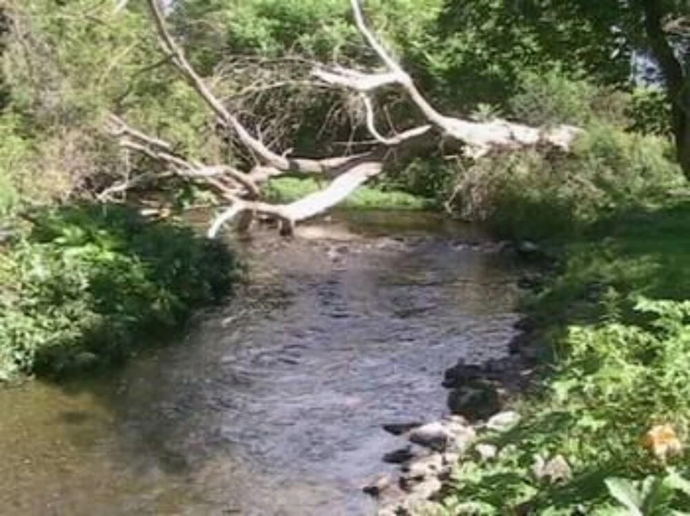 The Hayden Creek Inn