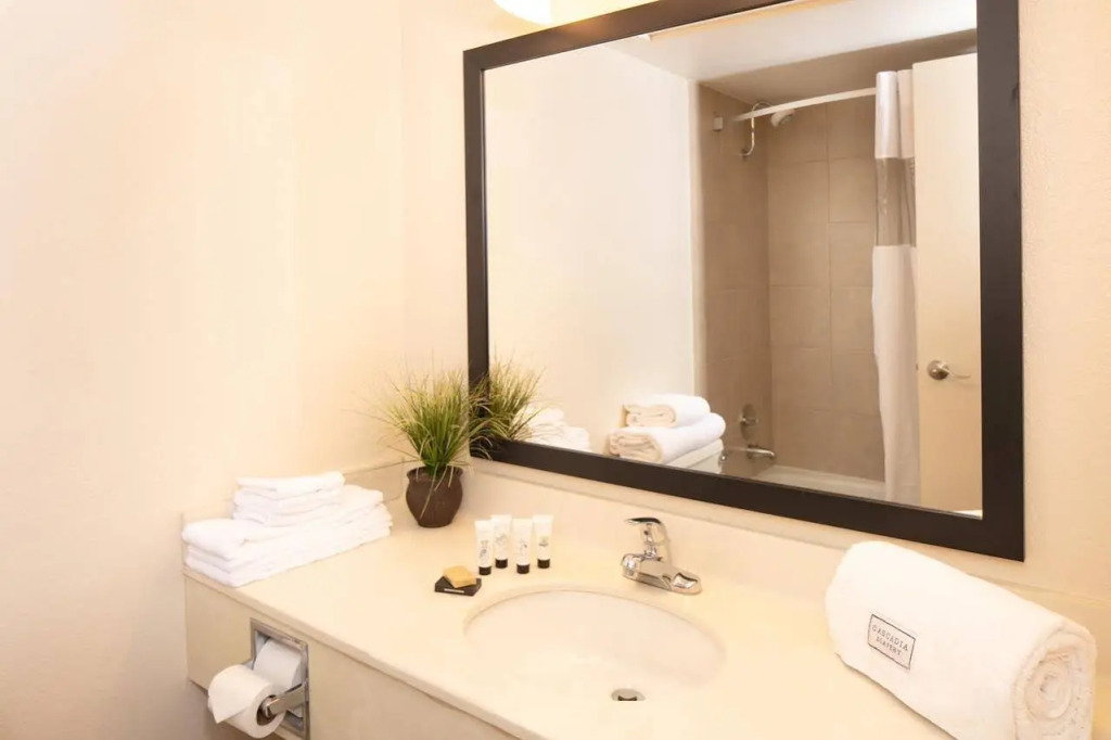 Park Inn By Radisson,houston North TX