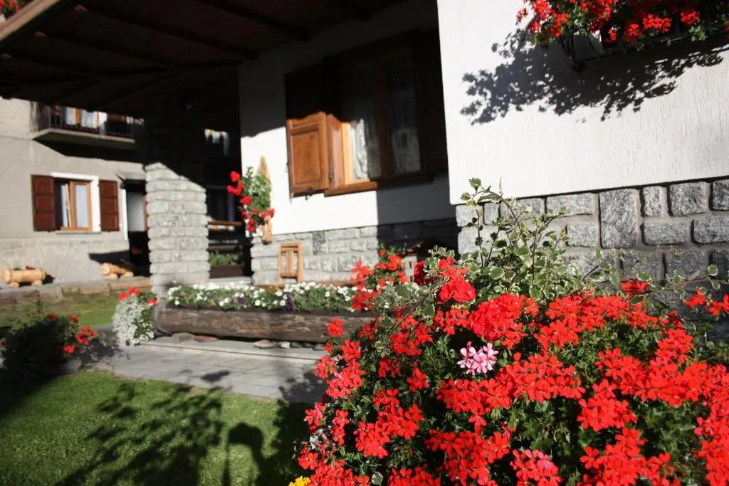 Chalet Stelvio