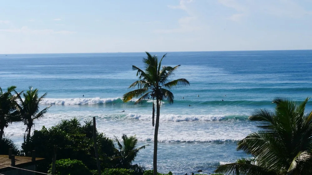 Cozy Cocos