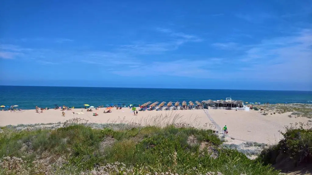 Appartamenti Magnolie-La pineta A SOLI 100m DALLA SPIAGGIA