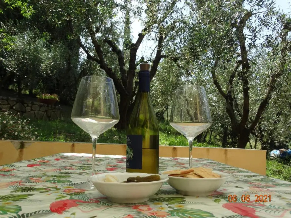 Poggio House, tranquillità e comfort nella natura