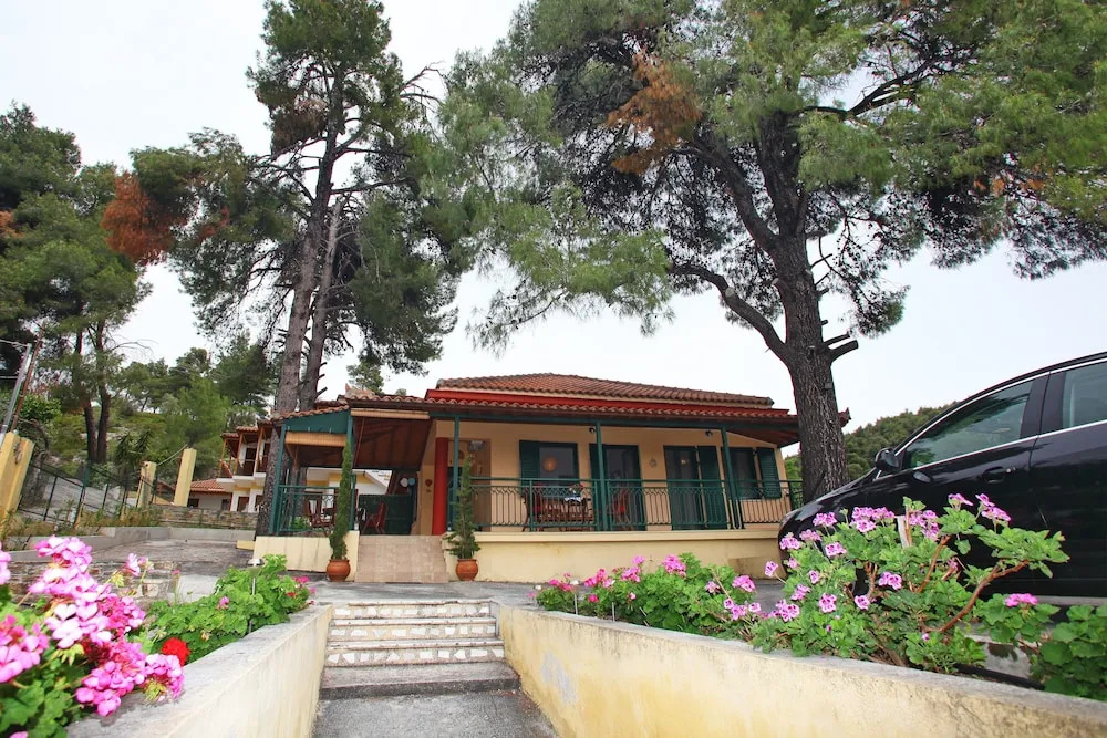 The Pine Trees