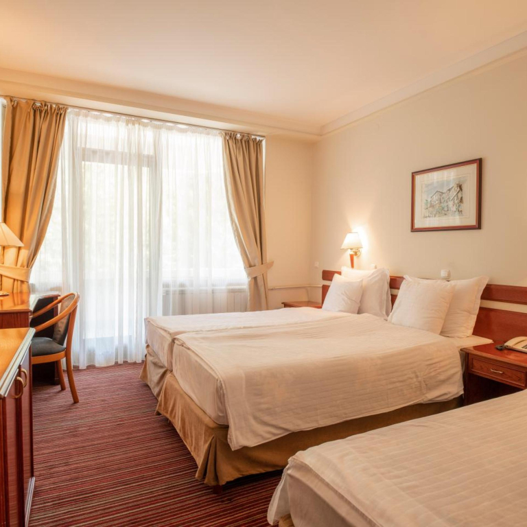 Hotel Bellevue - Metropol Lake Resort
