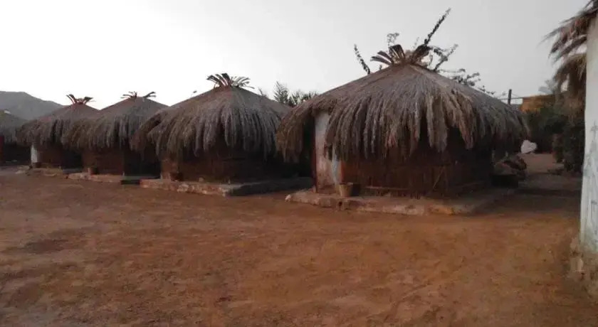 Sababa Camp