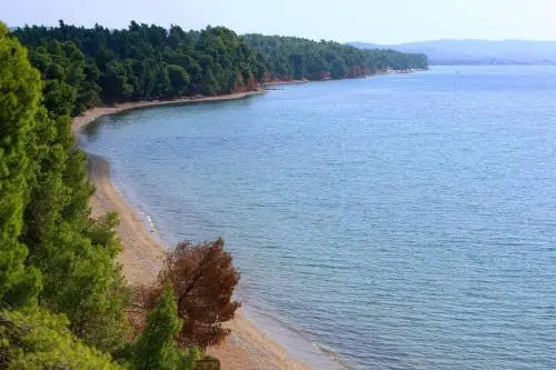 Squirrel Beach Front Villa, Metamorfosi