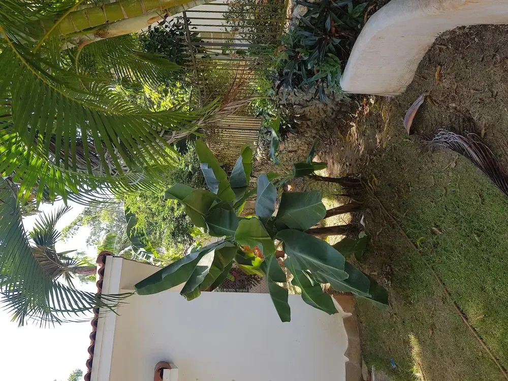 Casa Jinalka
