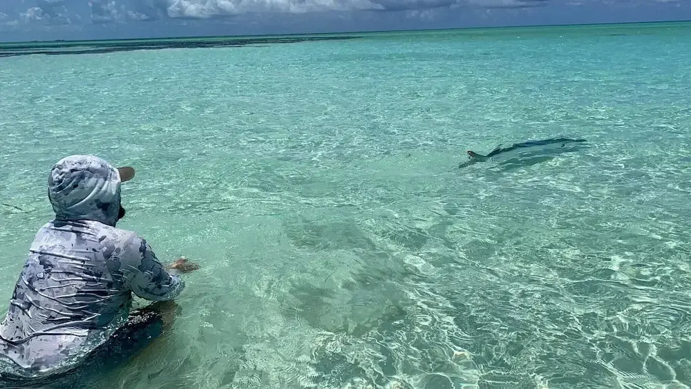 Tarpon Sands