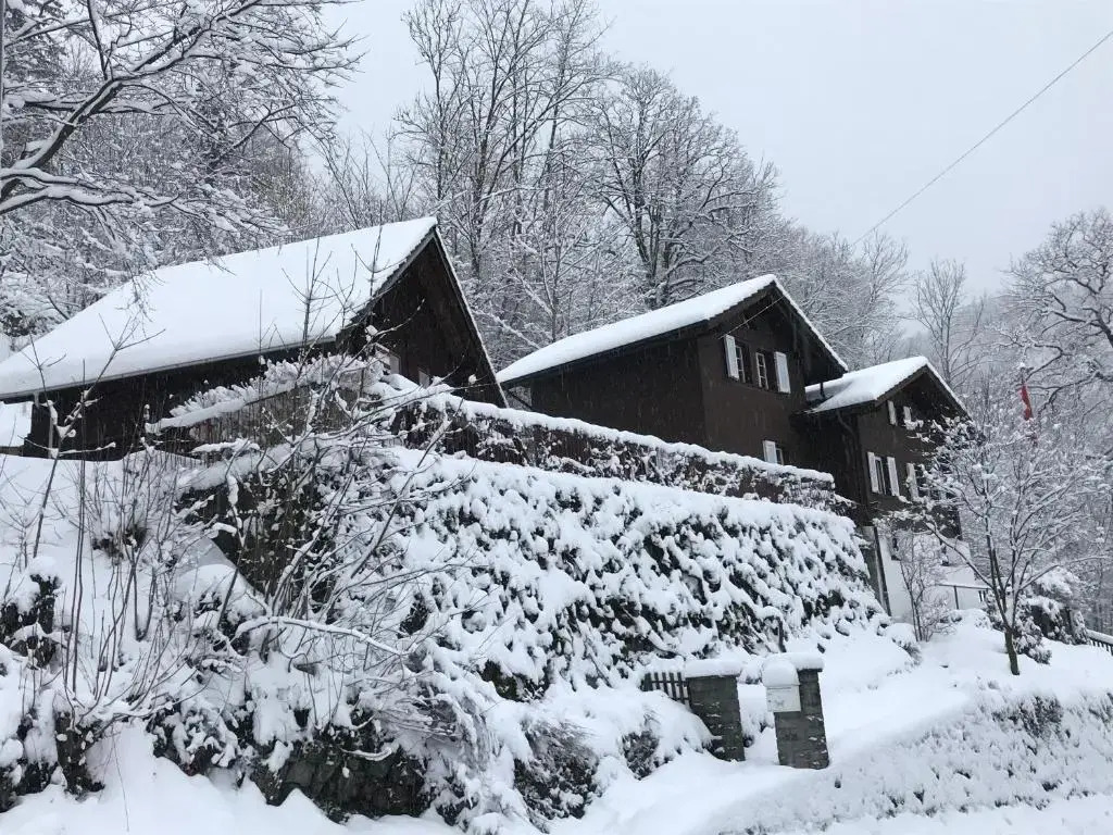 Romantic private superior Swiss Chalet with Hottub