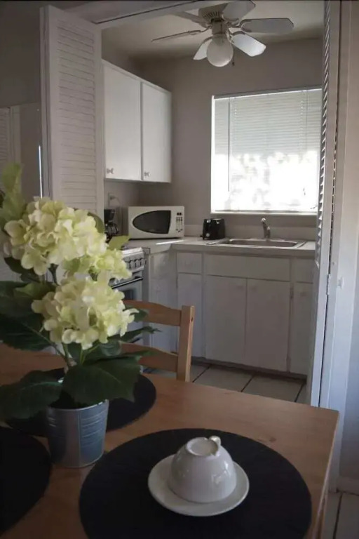 Cozy of Aquamar 8 - 1 Br Apts