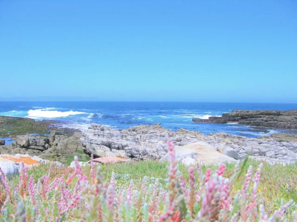Whale View Guest House