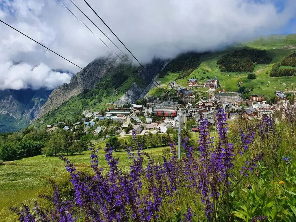 Appartement Les Deux Alpes, 1 pièce, 4 personnes - FR-1-348-229