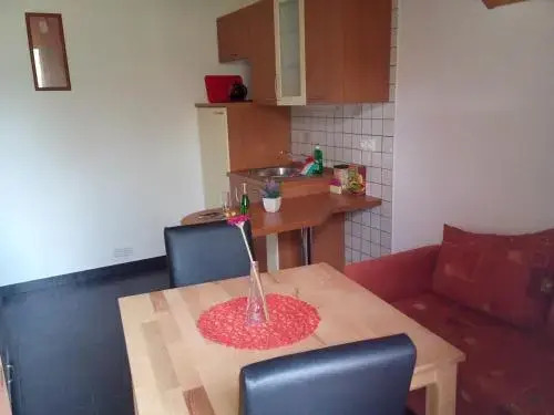 Haus Alexandra Apartment