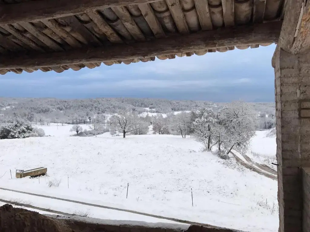 Mas Roca Del Mill