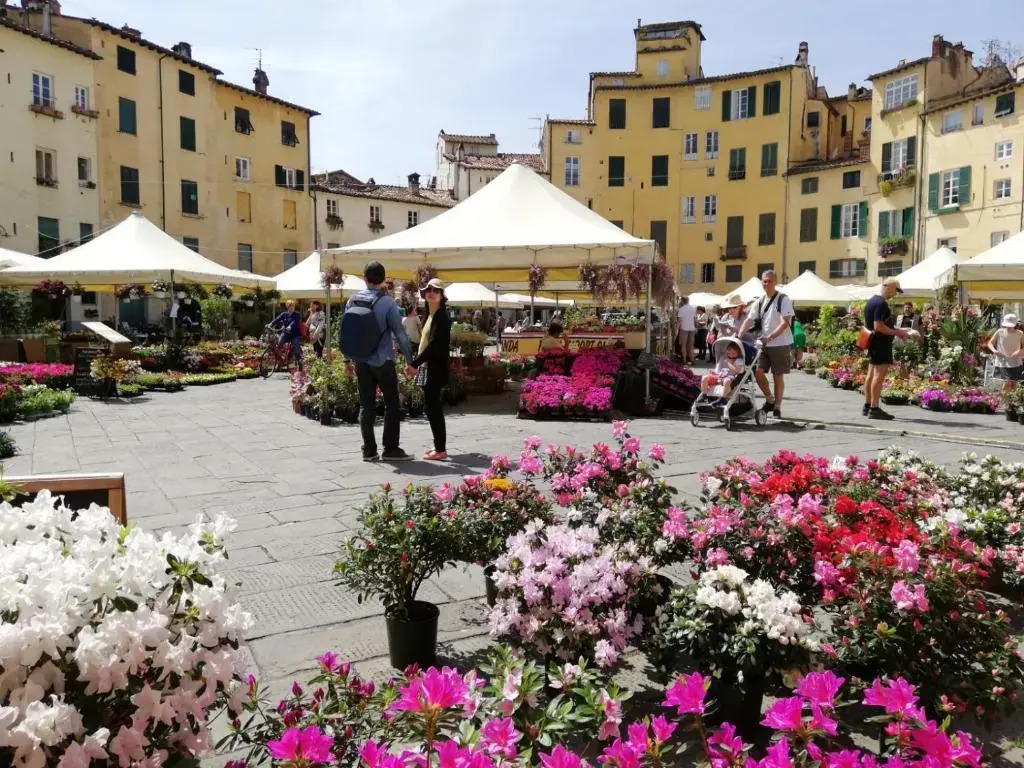Alle Mura