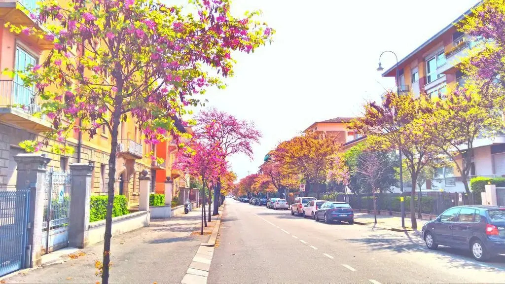 Residenza Agapanthos