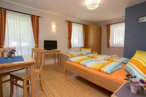 Säuleck Appartement mit Kärntencard