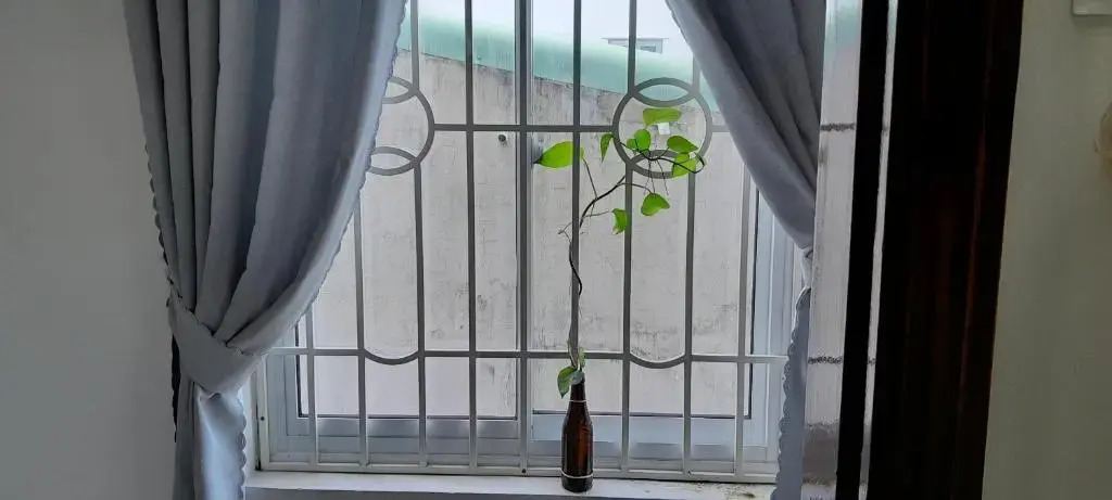 Sông Suối Homestay