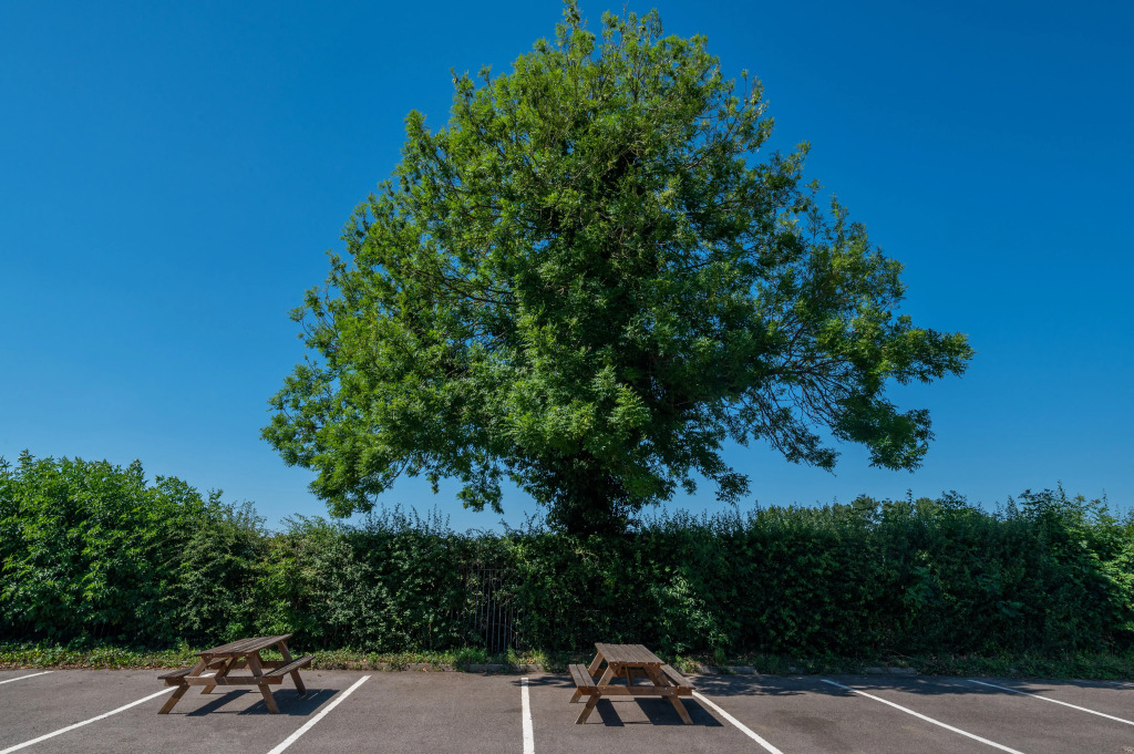 Holiday Inn - Leicester - Wigston by IHG