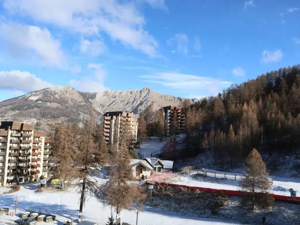 Appartement Les Orres, 2 pièces, 4 personnes - FR-1-322-78