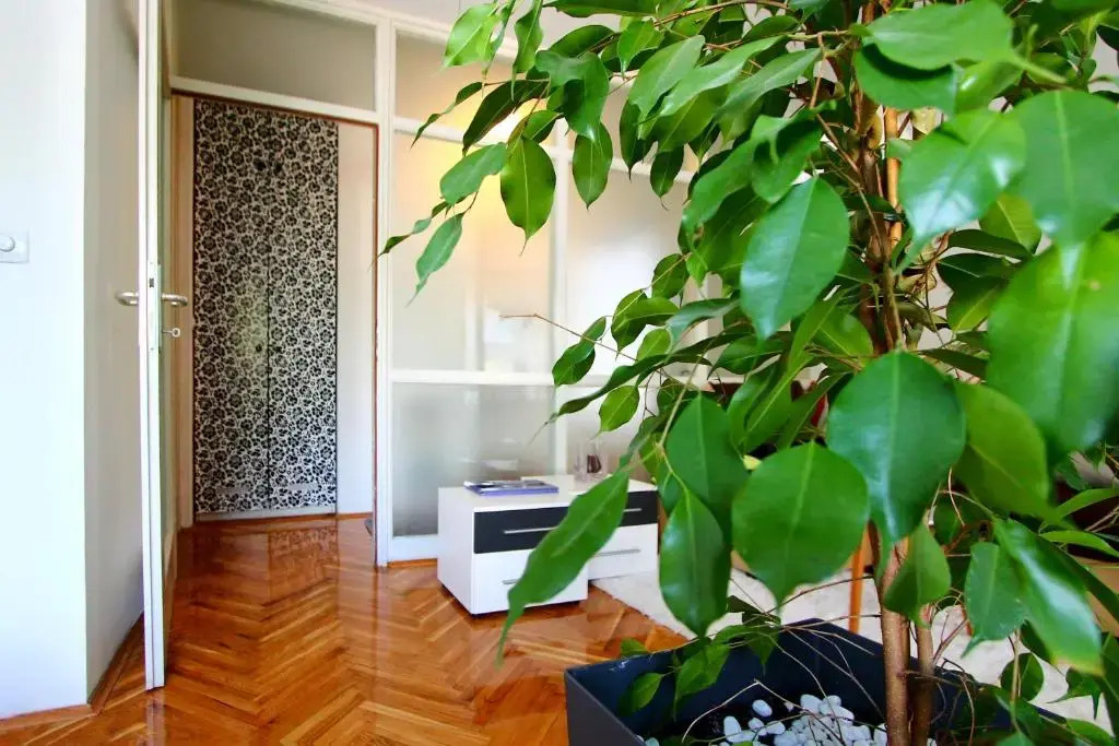 Apartment Melon