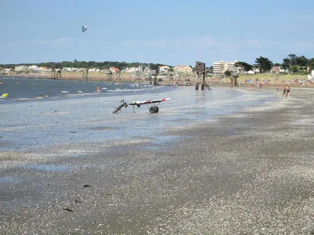 Tous à la mer, dans une grande maison de famille !