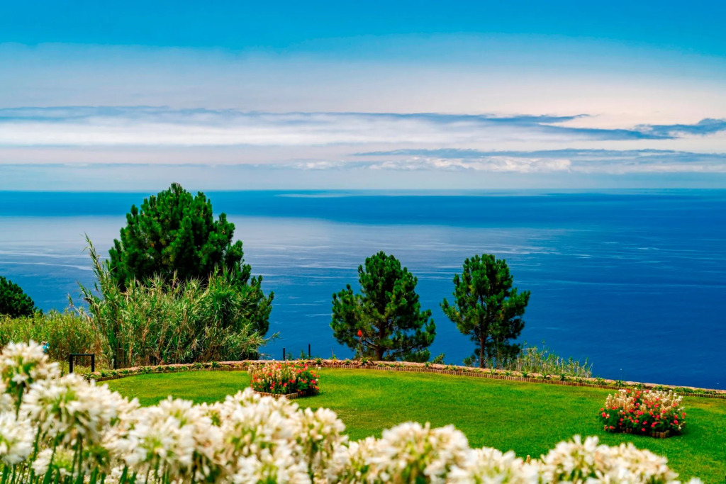 In peaceful Prazeres overlooking the sea - The Old Cottage in Quinta Inácia