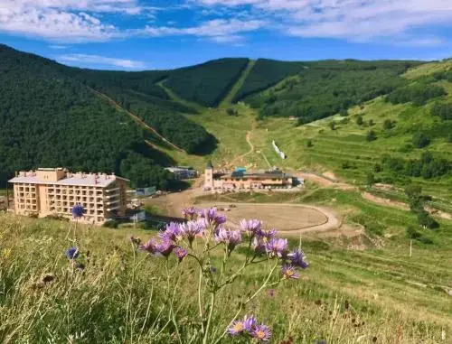 Zhangjiakou Dolomiti White Birch Hotel