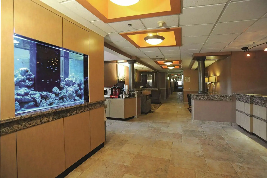 La Quinta by Wyndham Springfield South