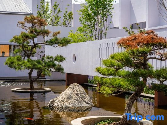 Purple House Koi Pond Courtyard Guesthouse