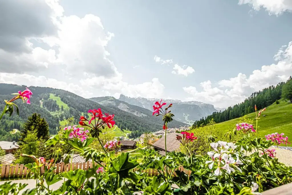 B&B - Ciasa Rü Blanch