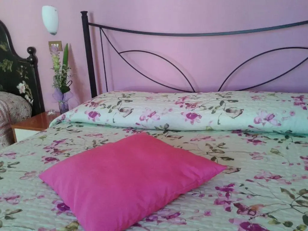 B&B Anny