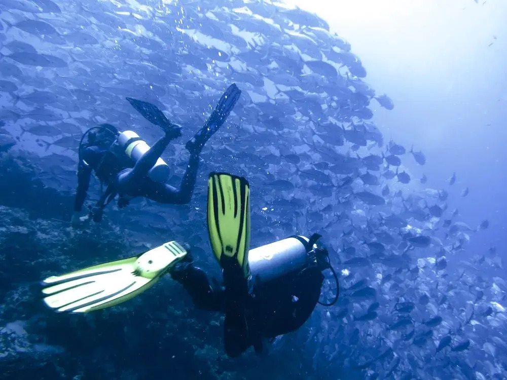 Dive Point Alcoy