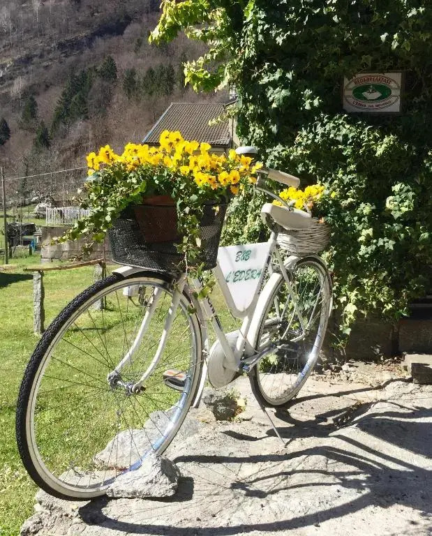 B&B LEdera