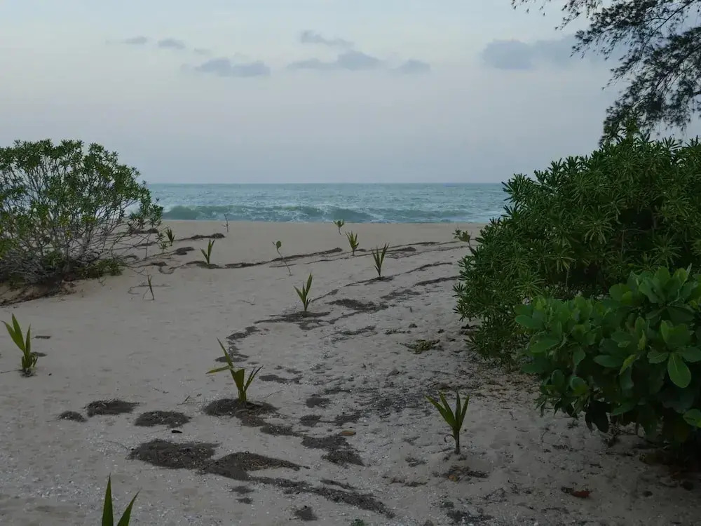 Medilla island resort