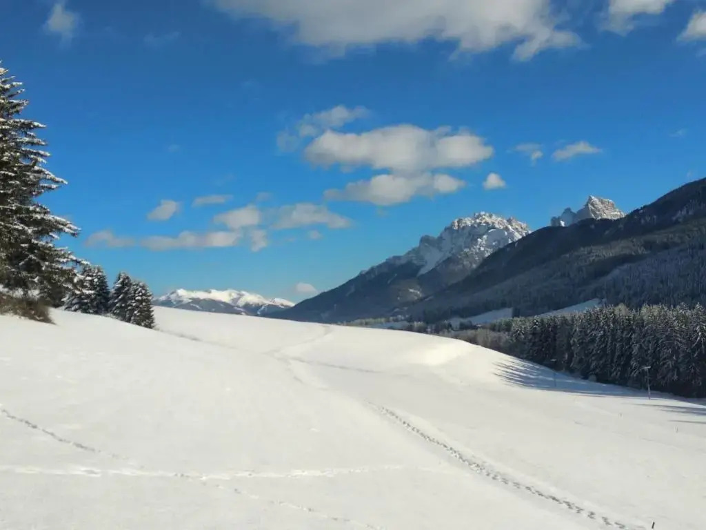 Haubenthal