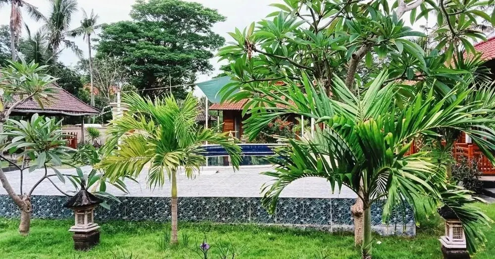 kubu arma lembongan