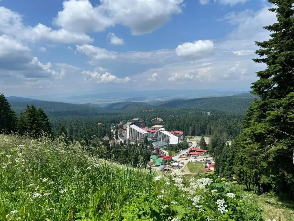 Арборо Боровец Гардънс Д35