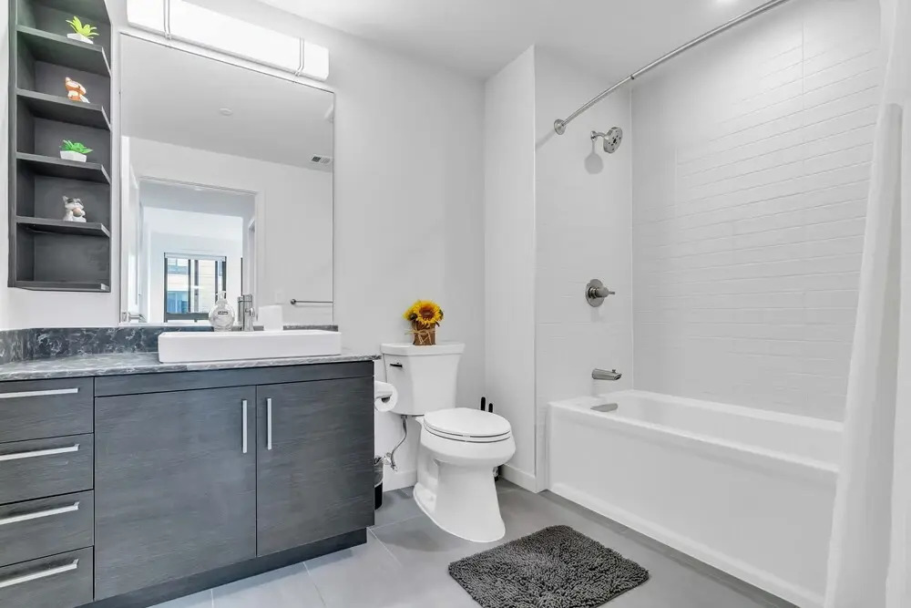 2 Bedroom at Southwest Waterfront