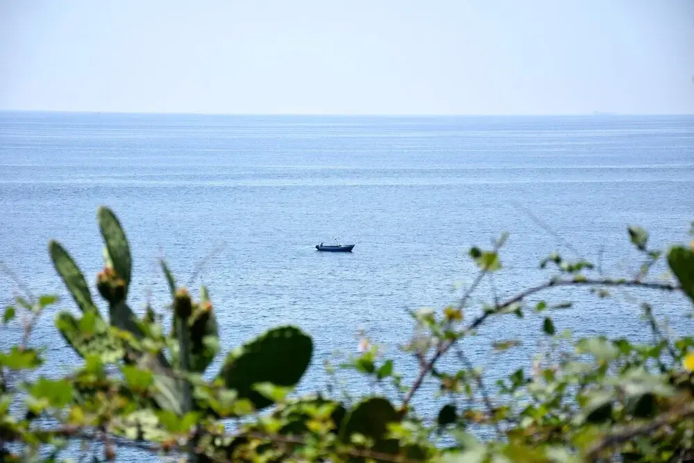 Riviera Degli Eucalipti