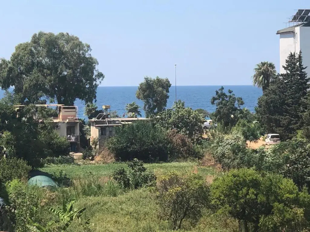 BeachFront Fully Equipped Luxury Residence D19N