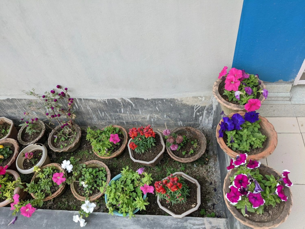 Nilachal Homes