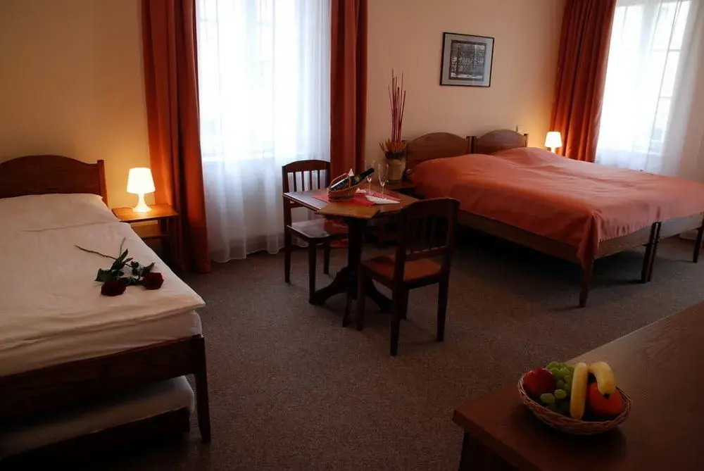 Hotel Karlin