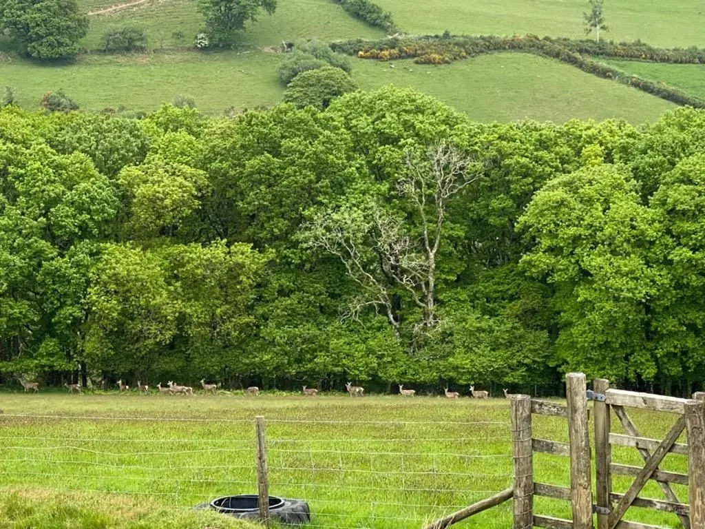 Paradise Position on Exmoor National Park