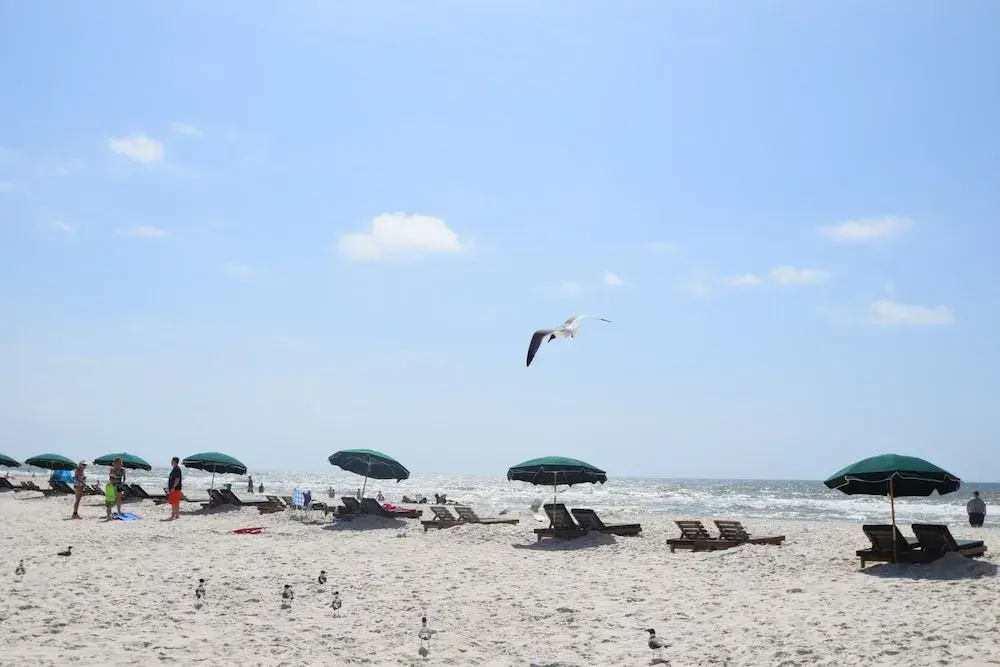 Beach View