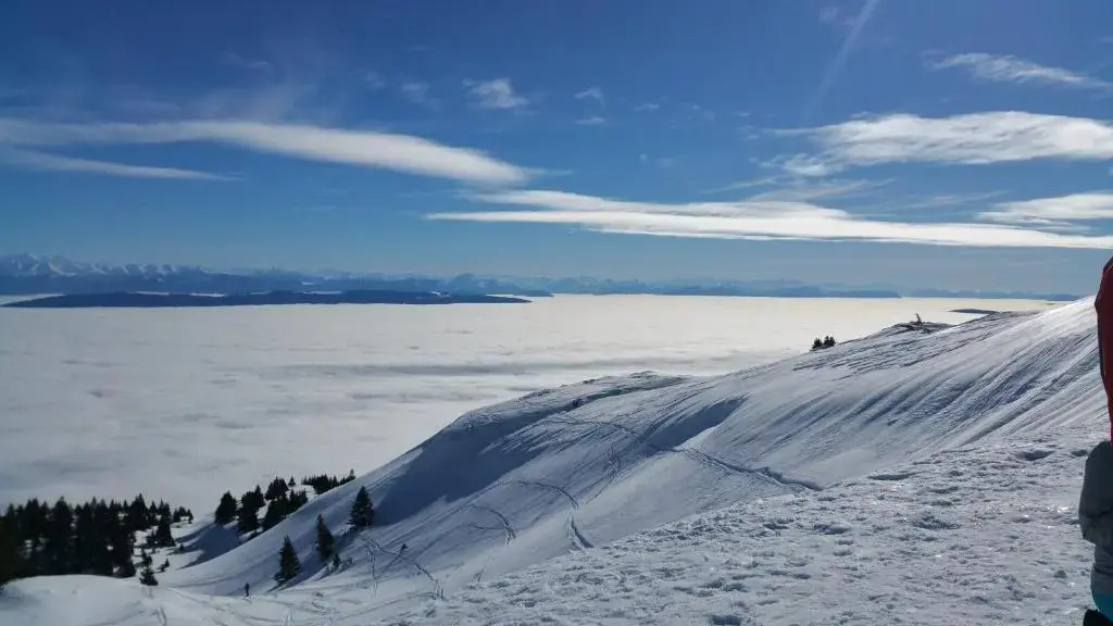 Les Chamois du Jura à Lajoux