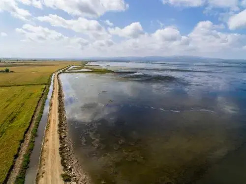 Alojamiento vacacional en el Delta del Ebro