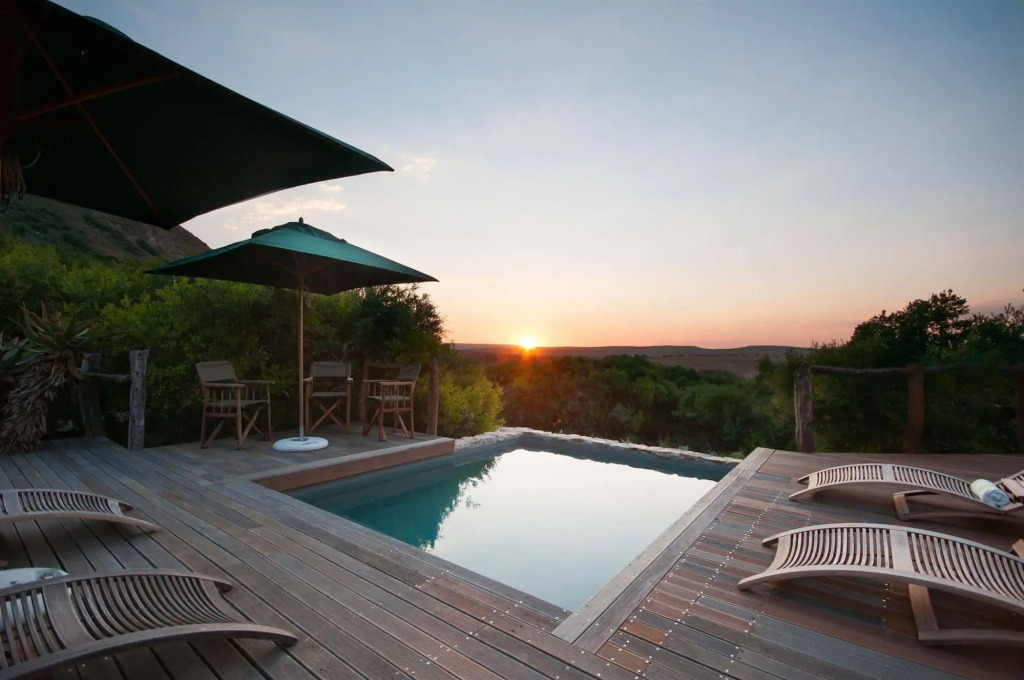 HillsNek Safari Camp - Amakhala Game Reserve