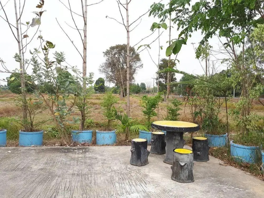Aranya Resort